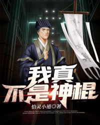 我真不是神仙第二部